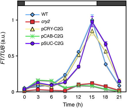 Figure 7.