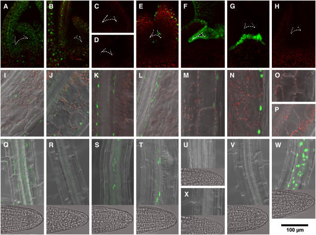 Figure 3.