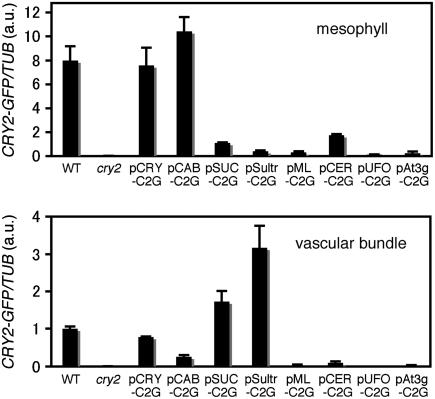 Figure 5.