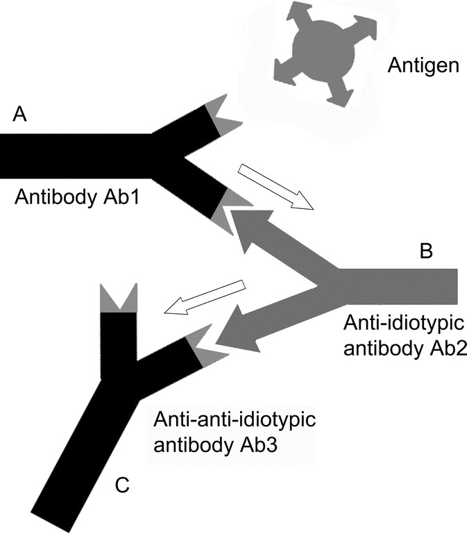 FIGURE 1