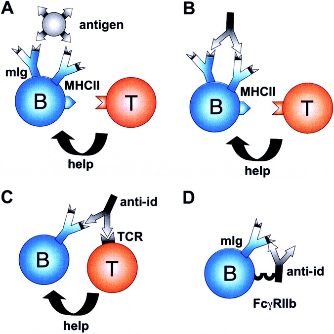 FIGURE 3