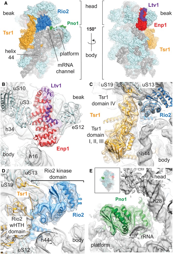 Figure 2