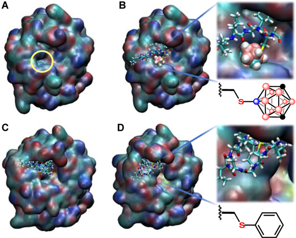 Figure 5.