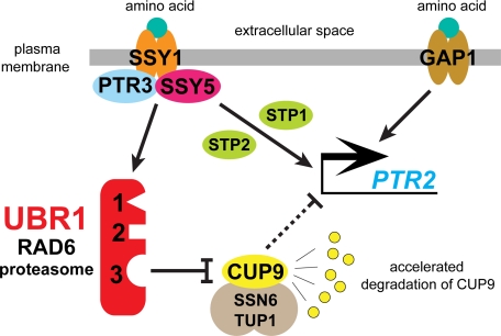 FIGURE 6.