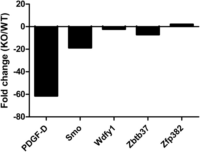 Fig 5