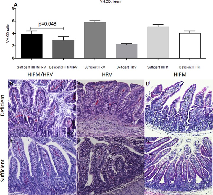 FIG 4 