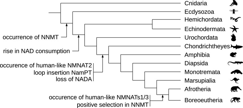 Fig. 7.