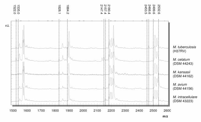 FIG. 3.