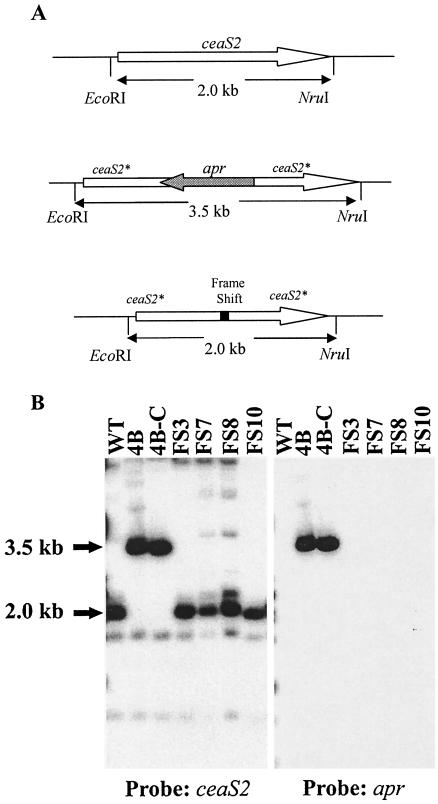 FIG. 5.