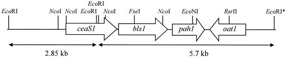 FIG. 4.