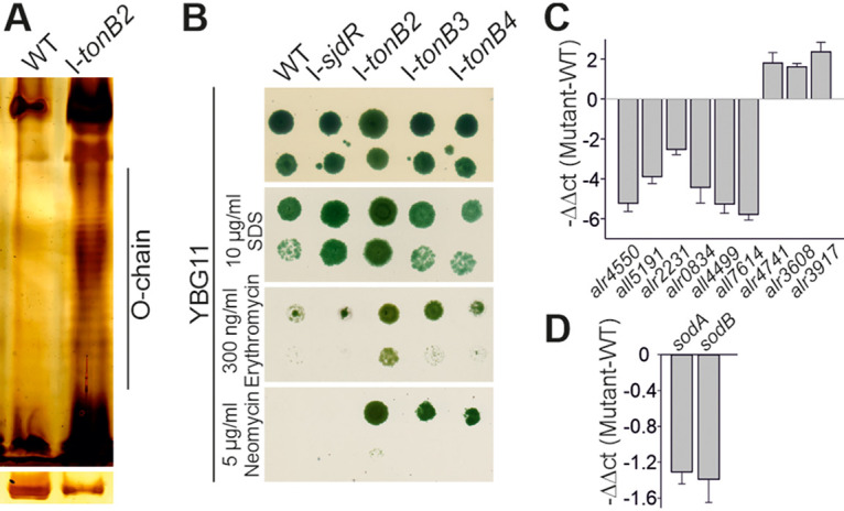 FIG 3