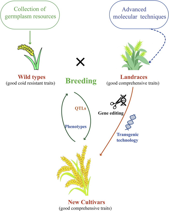 FIGURE 3