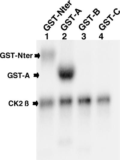 FIG. 5.