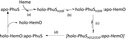 Scheme 1.