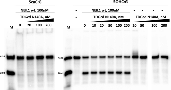 Figure 9