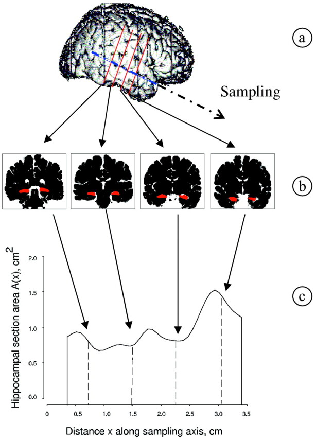 Fig 1.