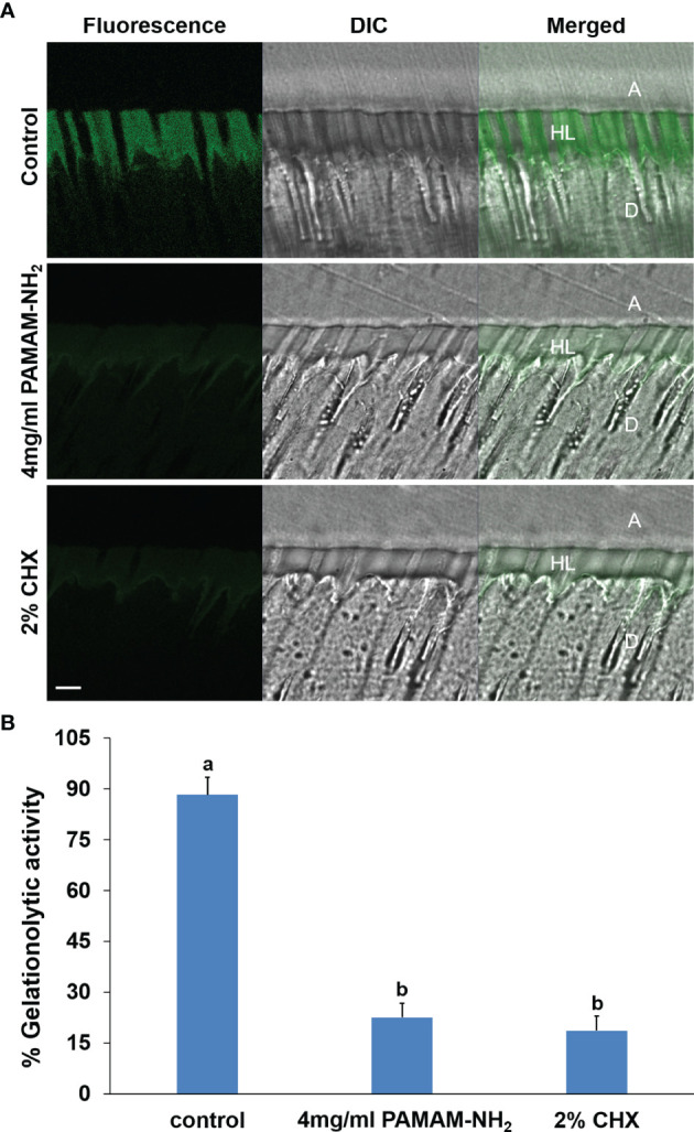 Figure 5