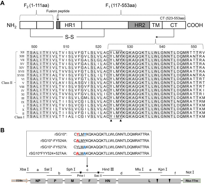 FIG 1