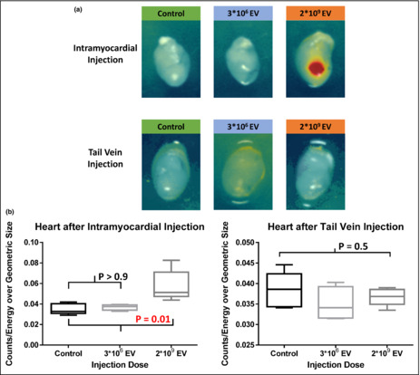 graphic file with name PHY2-11-e15568-g005.jpg