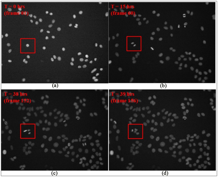 Figure 11