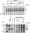 FIG. 8.