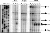 FIG. 9.