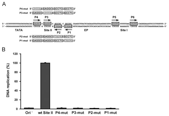 Fig. 9