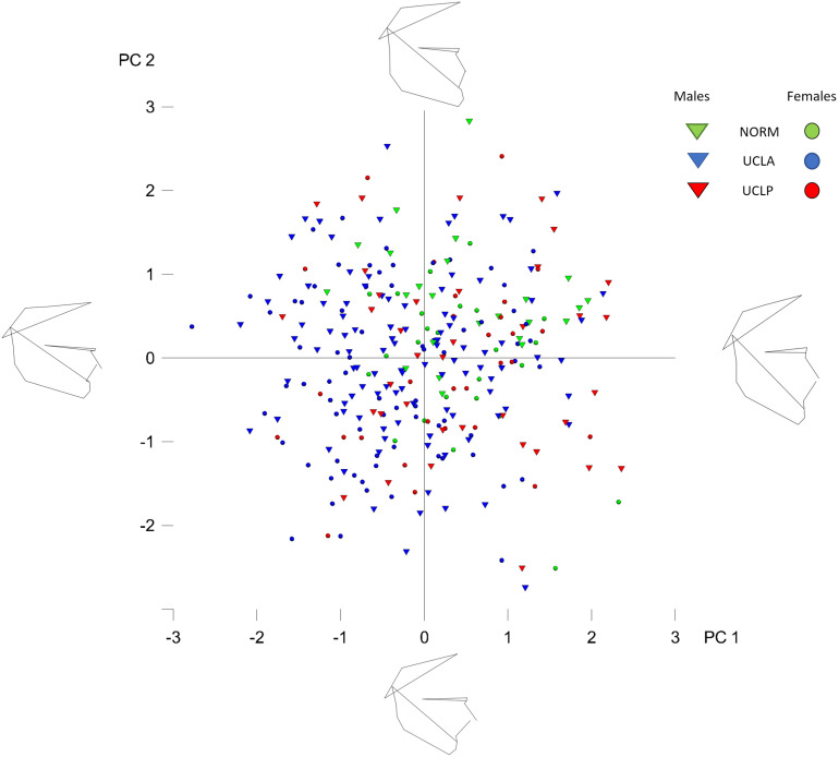 FIGURE 2