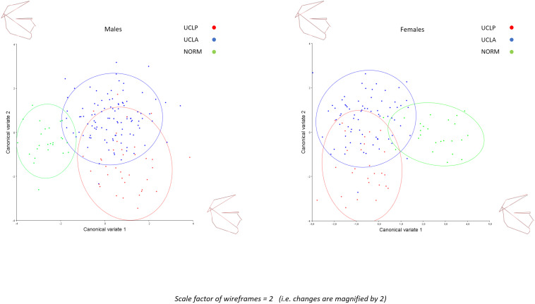 FIGURE 5