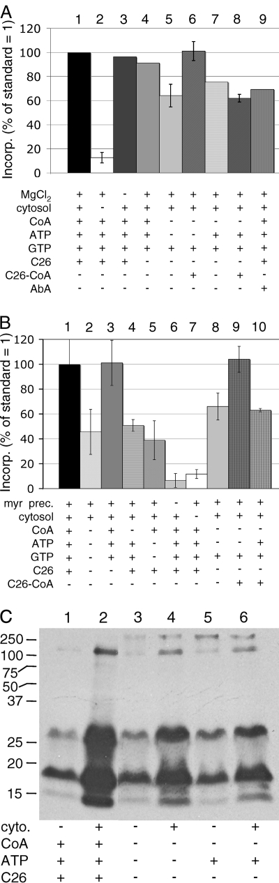 FIG. 8.