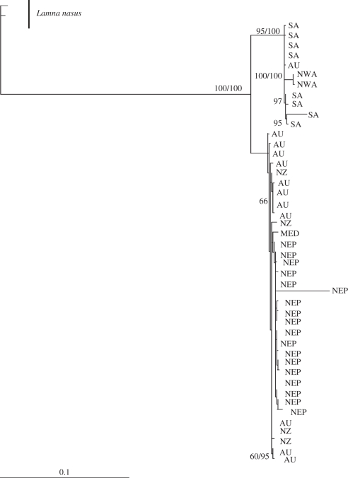 Figure 2.