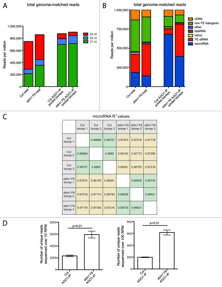 graphic file with name rna-10-1379-g1A_D.jpg