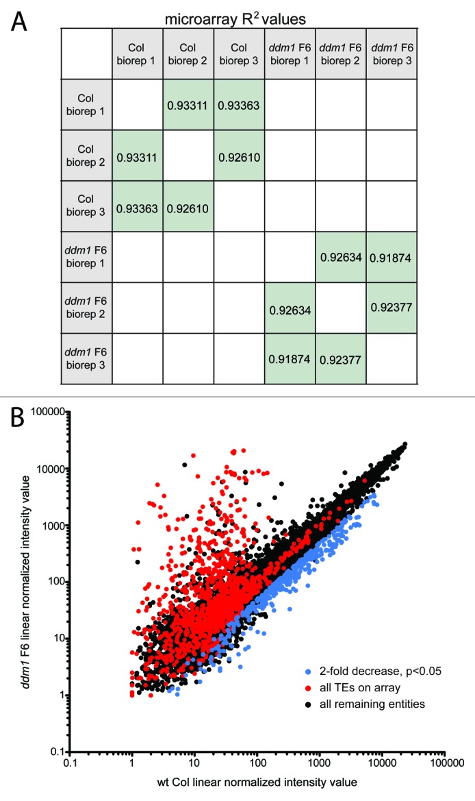 graphic file with name rna-10-1379-g3.jpg