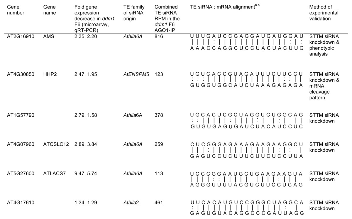 graphic file with name rna-10-1379-t1.jpg