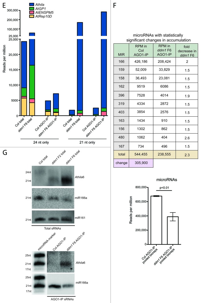 graphic file with name rna-10-1379-g1E_G.jpg