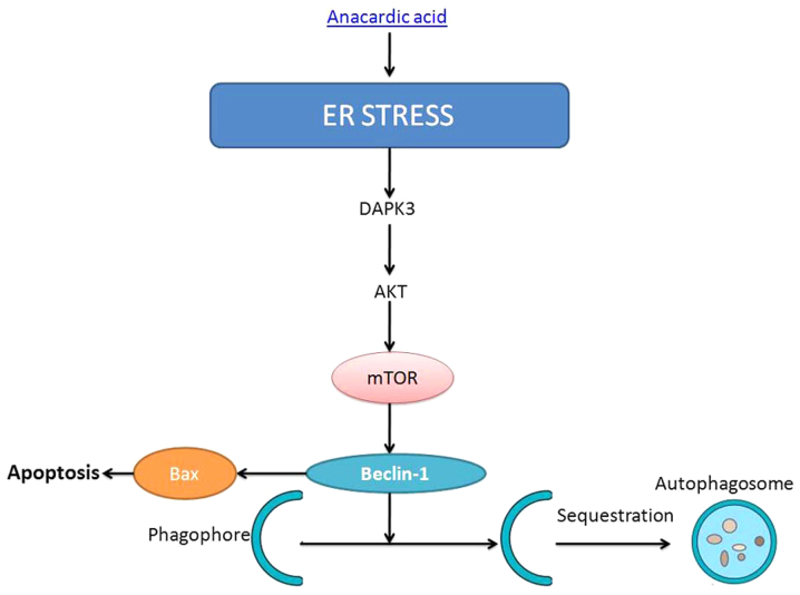 Figure 15.