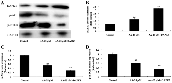 Figure 11.