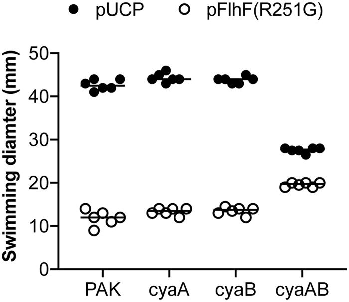 Fig 5