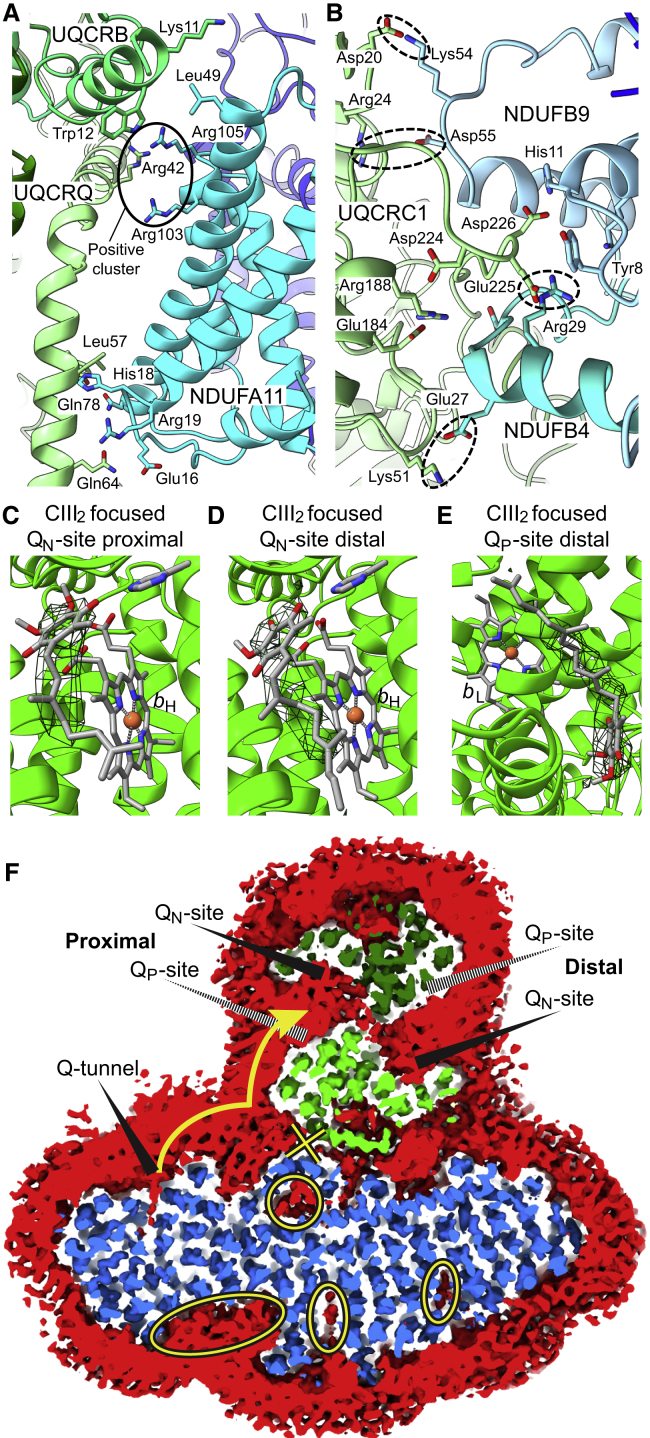 Figure 6