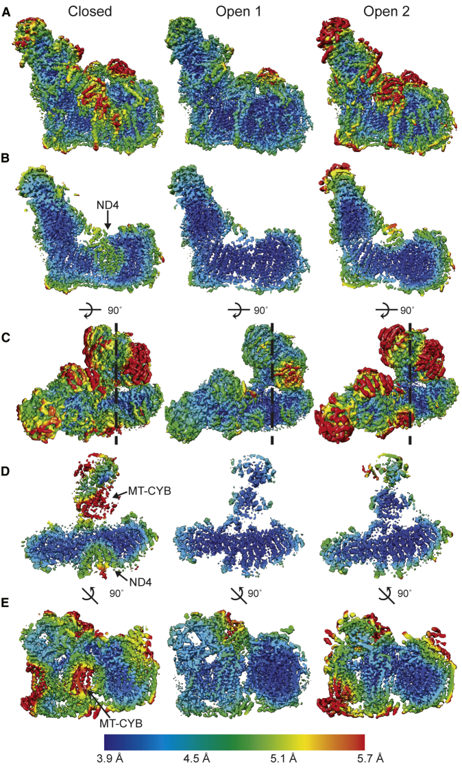 Figure 7