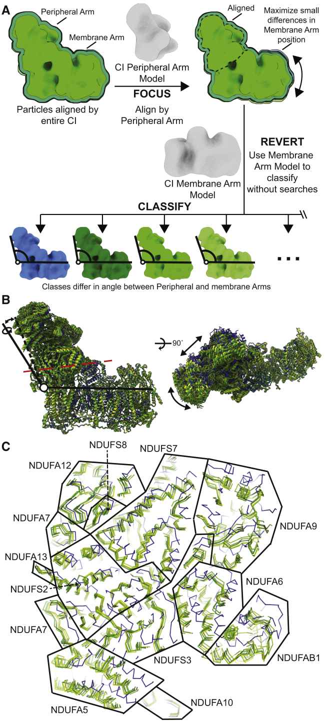 Figure 5