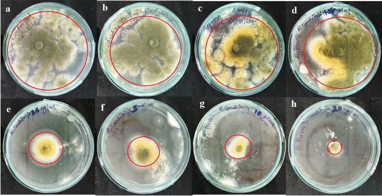 Figure 12