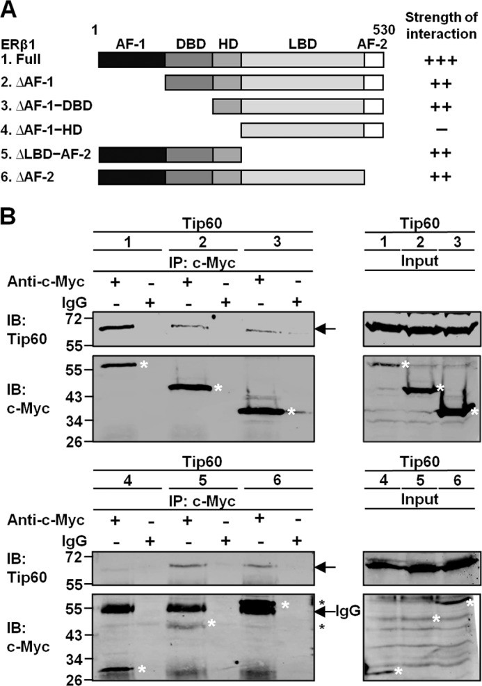 FIGURE 2.