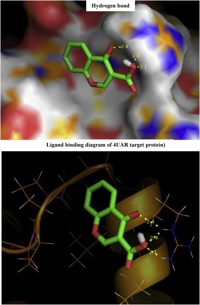 Figure 12