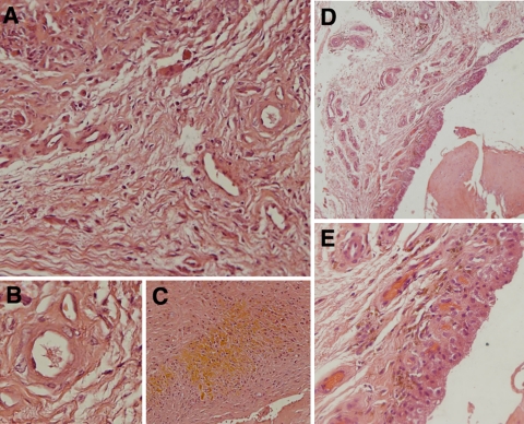 Fig. 2