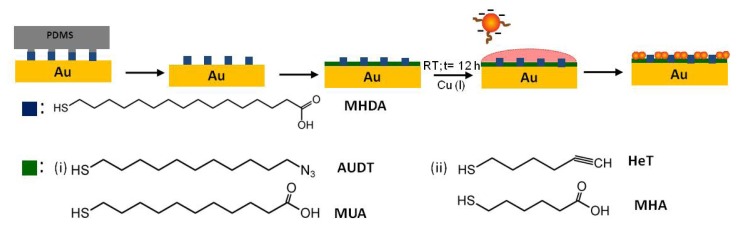 Scheme 2