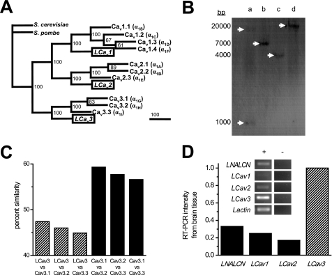 FIGURE 2.