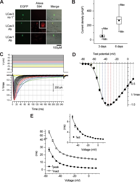 FIGURE 4.