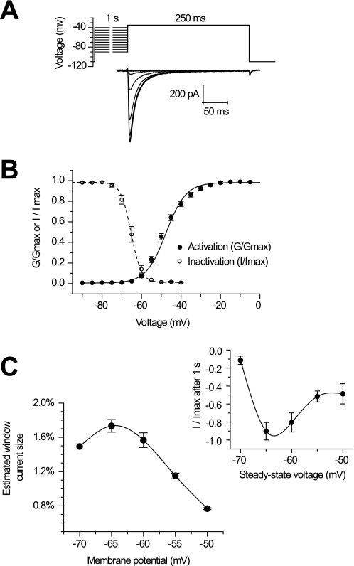 FIGURE 5.