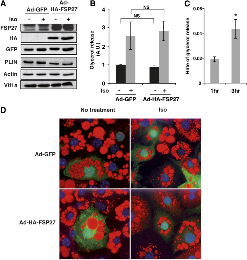 Fig. 8.